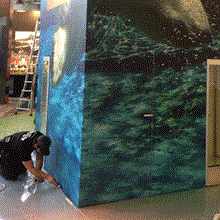 Foil print (1 m x 2.5 m)